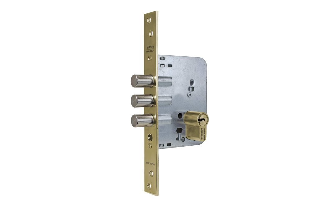 Tesa Assa Abloy R200B566L: Cerradura de seguridad monopunto con cilindro T60, resistente y elegante en acero inoxidable/dorado.